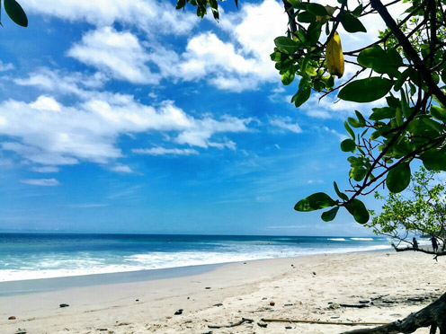 Beach View